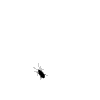 image-D89E 4E6B020D